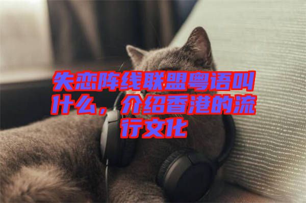 失戀陣線聯(lián)盟粵語叫什么，介紹香港的流行文化
