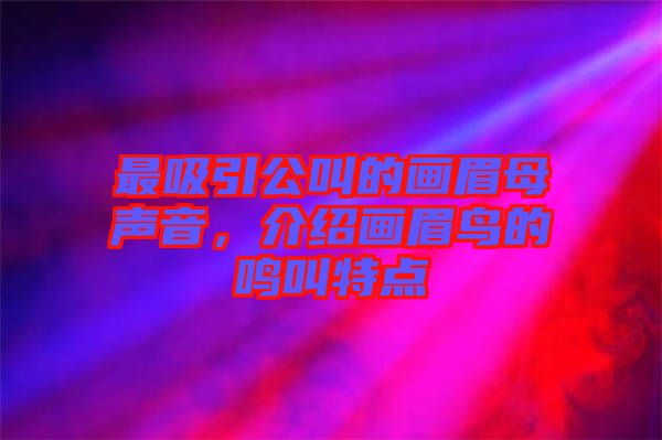 最吸引公叫的畫眉母聲音，介紹畫眉鳥(niǎo)的鳴叫特點(diǎn)