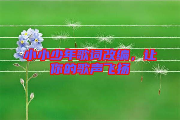 小小少年歌詞改編，讓你的歌聲飛揚(yáng)