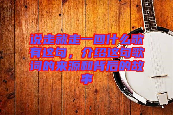說走就走一回什么歌有這句，介紹這句歌詞的來源和背后的故事