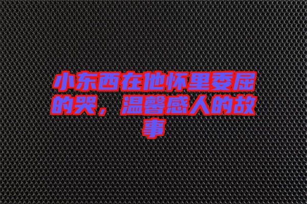 小東西在他懷里委屈的哭，溫馨感人的故事