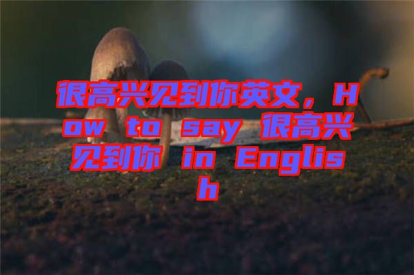 很高興見(jiàn)到你英文，How to say 很高興見(jiàn)到你 in English