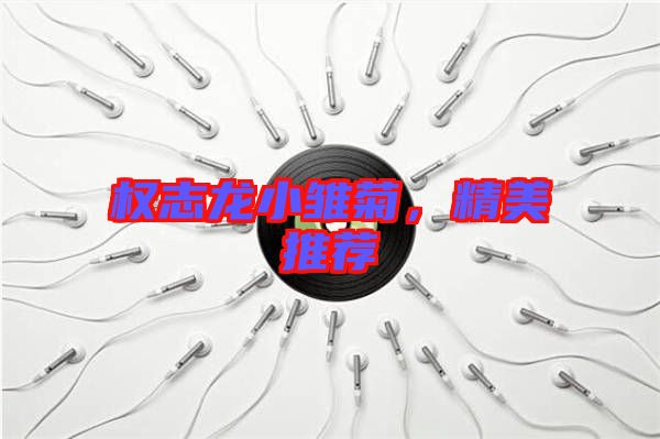 權志龍小雛菊，精美推薦