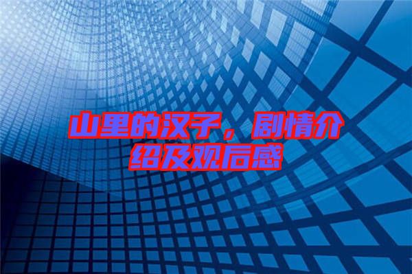 山里的漢子，劇情介紹及觀后感