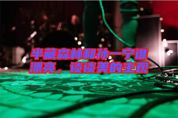半藏森林和孫一寧誰漂亮，談?wù)劽赖闹饔^