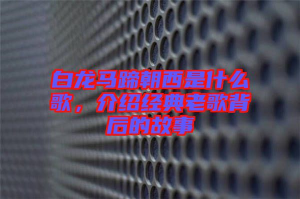 白龍馬蹄朝西是什么歌，介紹經(jīng)典老歌背后的故事