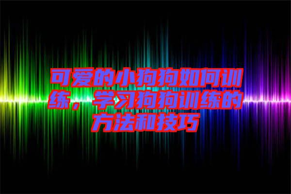 可愛的小狗狗如何訓練，學習狗狗訓練的方法和技巧