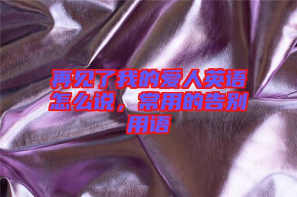 再見了我的愛人英語怎么說，常用的告別用語