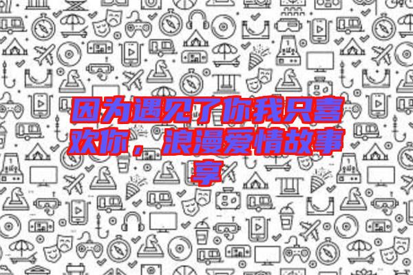 因?yàn)橛鲆娏四阄抑幌矚g你，浪漫愛情故事享