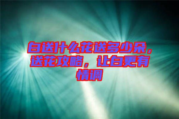 白送什么花送多少朵，送花攻略，讓白更有情調(diào)