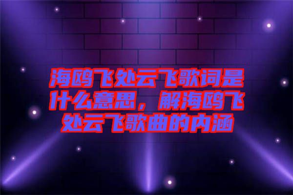 海鷗飛處云飛歌詞是什么意思，解海鷗飛處云飛歌曲的內(nèi)涵