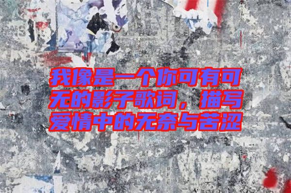 我像是一個(gè)你可有可無(wú)的影子歌詞，描寫愛(ài)情中的無(wú)奈與苦澀