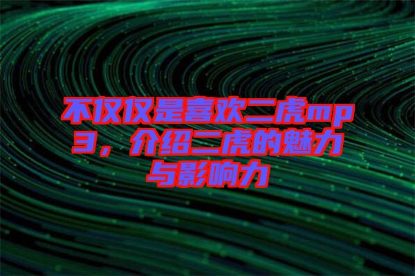 不僅僅是喜歡二虎mp3，介紹二虎的魅力與影響力