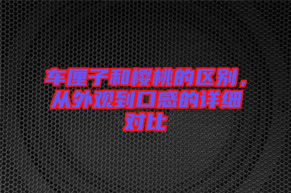 車?yán)遄雍蜋烟业膮^(qū)別，從外觀到口感的詳細(xì)對比