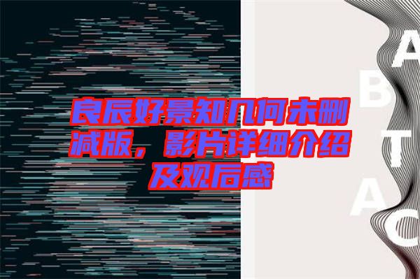 良辰好景知幾何未刪減版，影片詳細(xì)介紹及觀后感