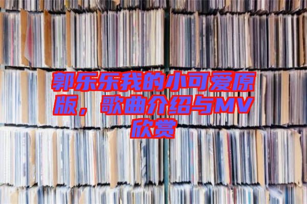 郭樂樂我的小可愛原版，歌曲介紹與MV欣賞