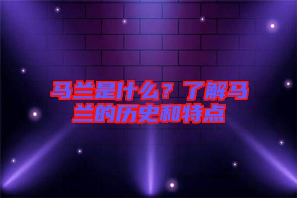 馬蘭是什么？了解馬蘭的歷史和特點(diǎn)