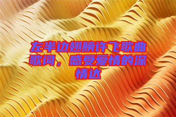 左半邊翅膀許飛歌曲歌詞，感受愛(ài)情的深情達(dá)