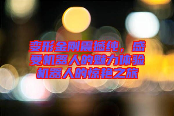 變形金剛震撼純，感受機(jī)器人的魅力體驗(yàn)機(jī)器人的驚艷之旅