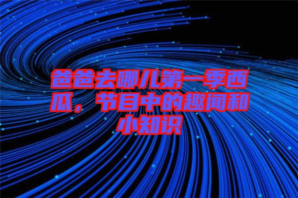 爸爸去哪兒第一季西瓜，節(jié)目中的趣聞和小知識