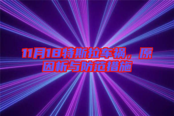 11月18特斯拉車(chē)禍，原因析與防范措施