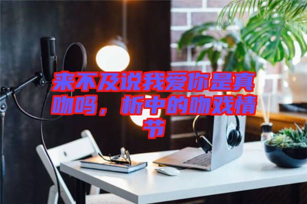 來不及說我愛你是真吻嗎，析中的吻戲情節(jié)