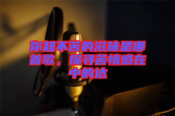 你知不苦的滋味是哪首歌，探尋苦情感在中的達