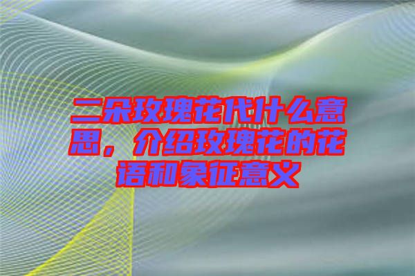 二朵玫瑰花代什么意思，介紹玫瑰花的花語和象征意義