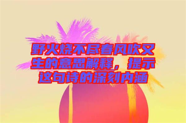 野火燒不盡春風(fēng)吹又生的意思解釋，提示這句詩的深刻內(nèi)涵