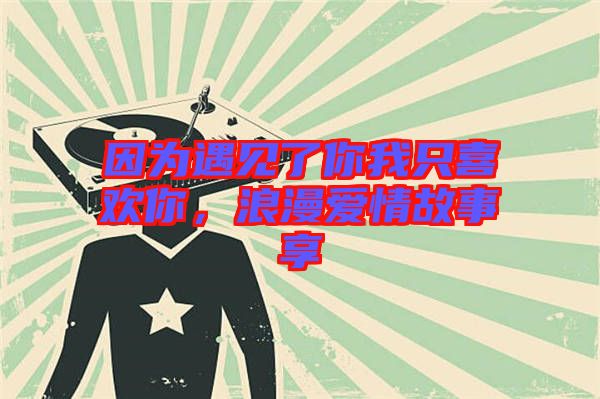 因?yàn)橛鲆娏四阄抑幌矚g你，浪漫愛情故事享