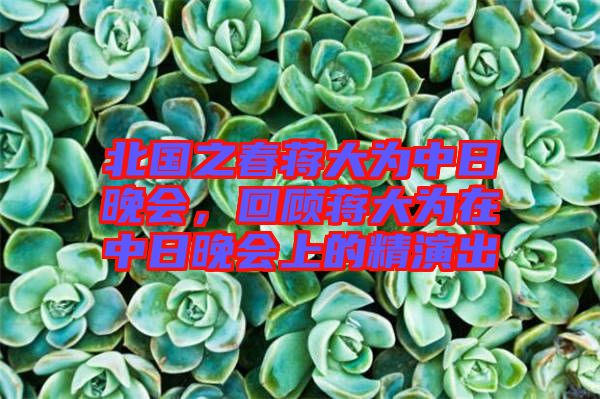 北國(guó)之春蔣大為中日晚會(huì)，回顧蔣大為在中日晚會(huì)上的精演出