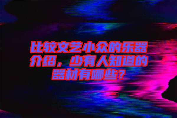 比較文藝小眾的樂(lè)器介紹，少有人知道的器材有哪些？