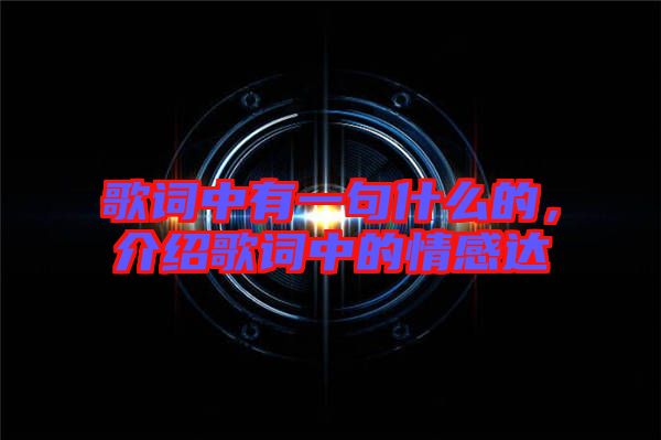 歌詞中有一句什么的，介紹歌詞中的情感達(dá)
