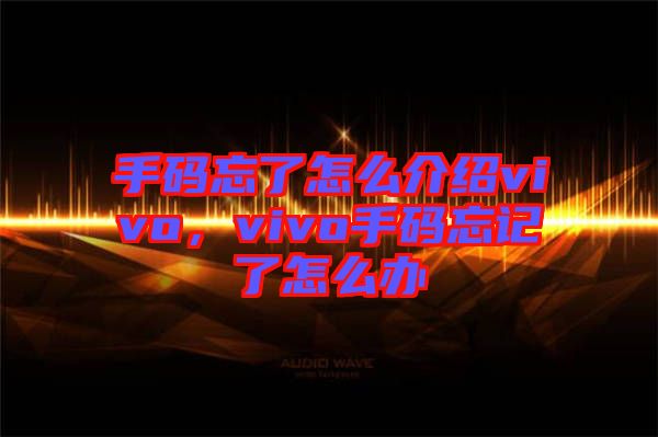 手碼忘了怎么介紹vivo，vivo手碼忘記了怎么辦