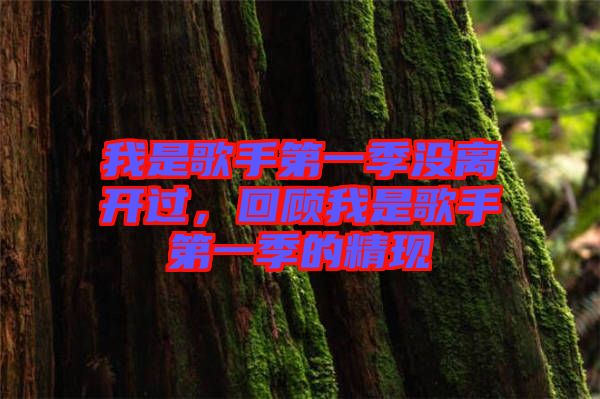 我是歌手第一季沒(méi)離開(kāi)過(guò)，回顧我是歌手第一季的精現(xiàn)