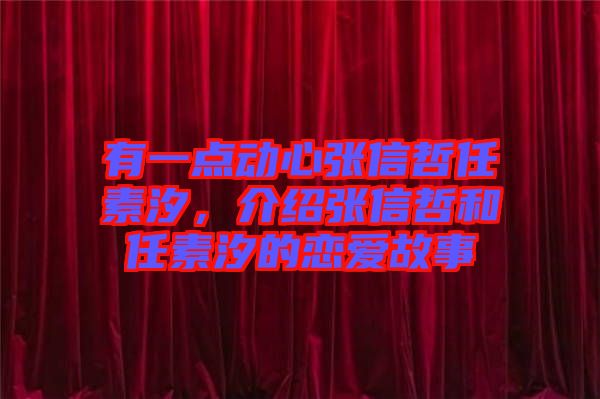 有一點動心張信哲任素汐，介紹張信哲和任素汐的戀愛故事