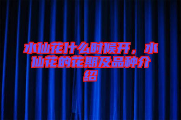 水仙花什么時候開，水仙花的花期及品種介紹