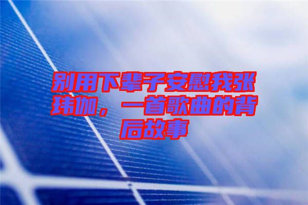 別用下輩子安慰我張瑋伽，一首歌曲的背后故事