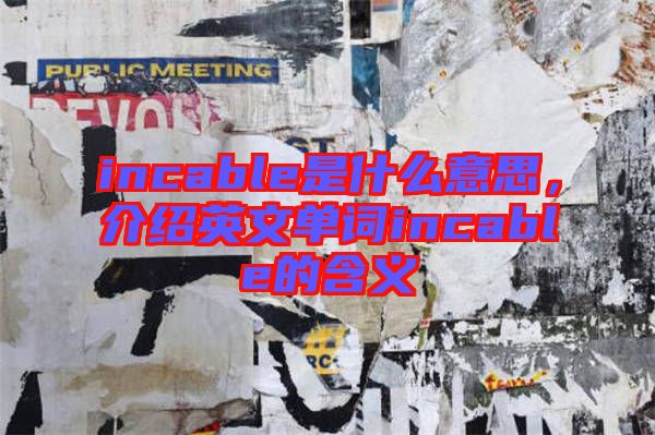 incable是什么意思，介紹英文單詞incable的含義