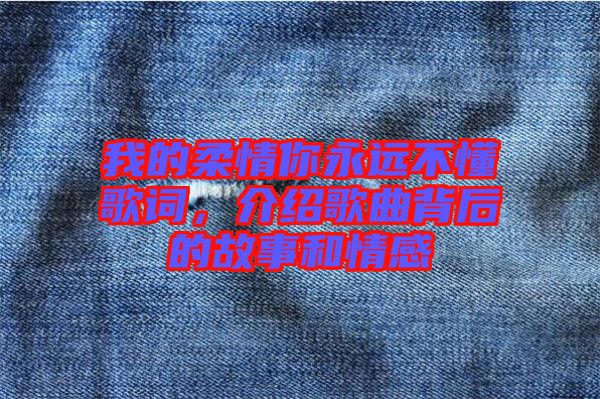 我的柔情你永遠(yuǎn)不懂歌詞，介紹歌曲背后的故事和情感