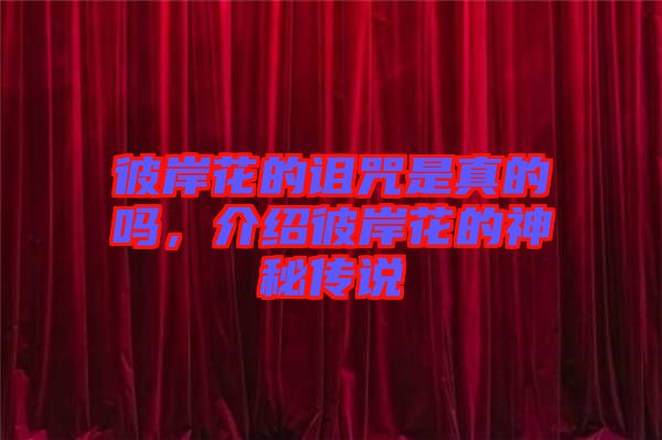彼岸花的詛咒是真的嗎，介紹彼岸花的神秘傳說