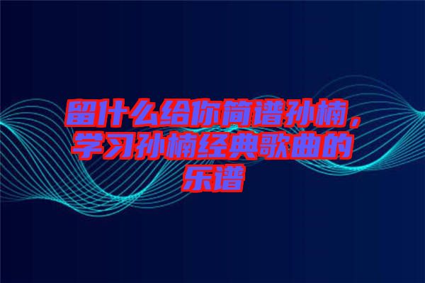 留什么給你簡譜孫楠，學習孫楠經(jīng)典歌曲的樂譜