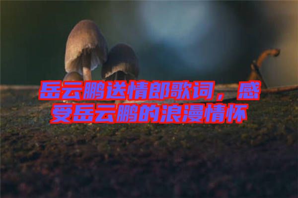 岳云鵬送情郎歌詞，感受岳云鵬的浪漫情懷