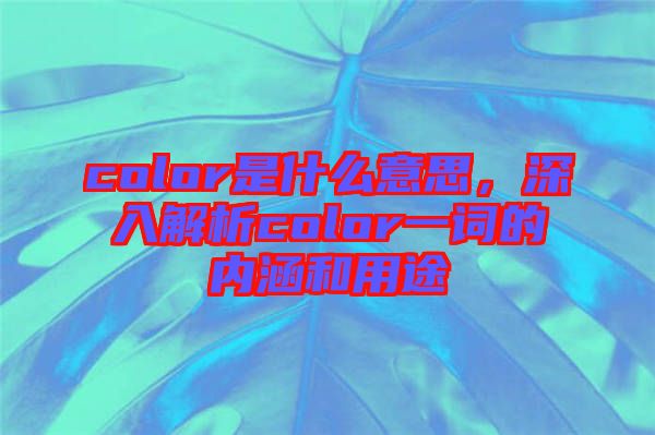 color是什么意思，深入解析color一詞的內(nèi)涵和用途