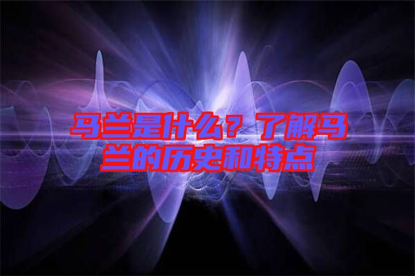 馬蘭是什么？了解馬蘭的歷史和特點(diǎn)