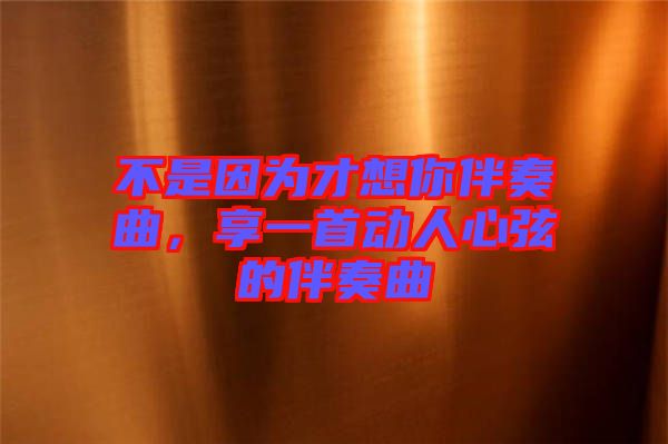 不是因為才想你伴奏曲，享一首動人心弦的伴奏曲