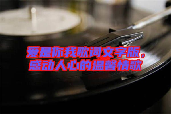 愛是你我歌詞文字版，感動人心的溫馨情歌