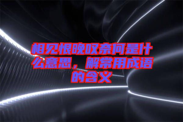 相見(jiàn)恨晚嘆奈何是什么意思，解常用成語(yǔ)的含義