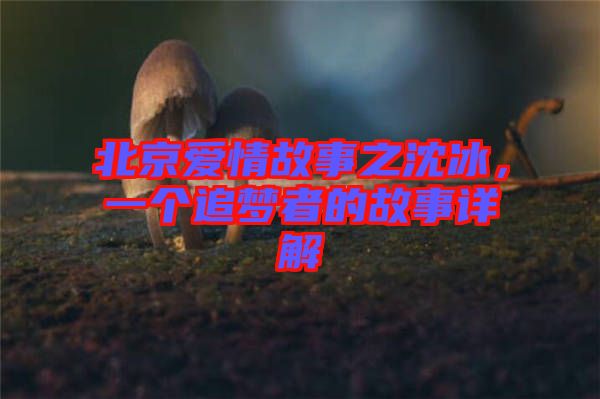 北京愛情故事之沈冰，一個追夢者的故事詳解