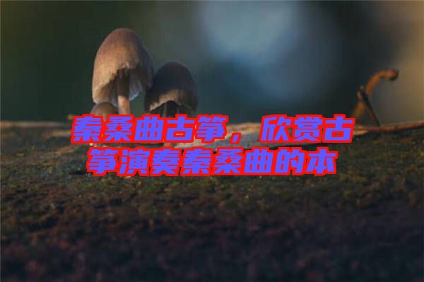 秦桑曲古箏，欣賞古箏演奏秦桑曲的本
